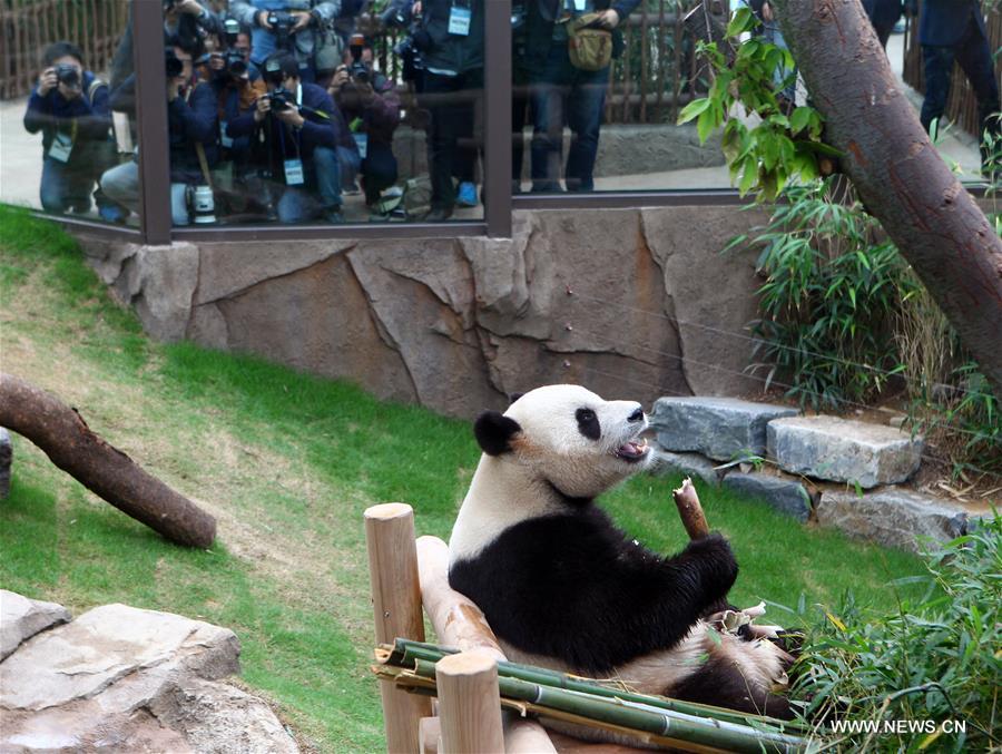 SOUTH KOREA-YONGIN-CHINA-GIANT PANDA