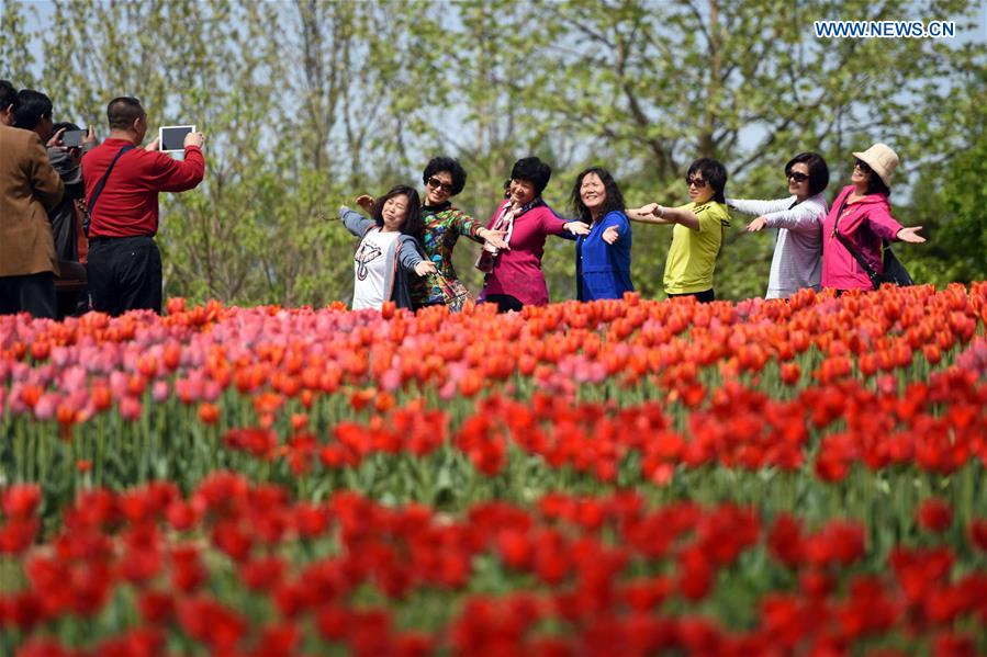 CHINA-BEIJING-SPRING (CN)