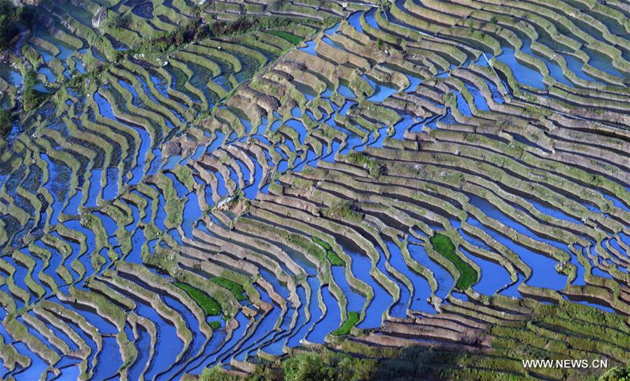 CHINA-YUNNAN-HONGHE-SAMABA TERRACS (CN)