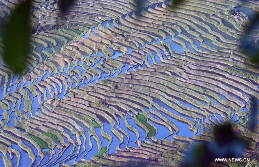 CHINA-YUNNAN-HONGHE-SAMABA TERRACS (CN)