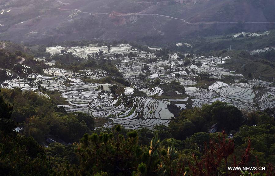 CHINA-YUNNAN-HONGHE-SAMABA TERRACS (CN)