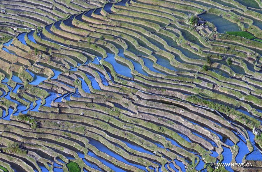 CHINA-YUNNAN-HONGHE-SAMABA TERRACS (CN)