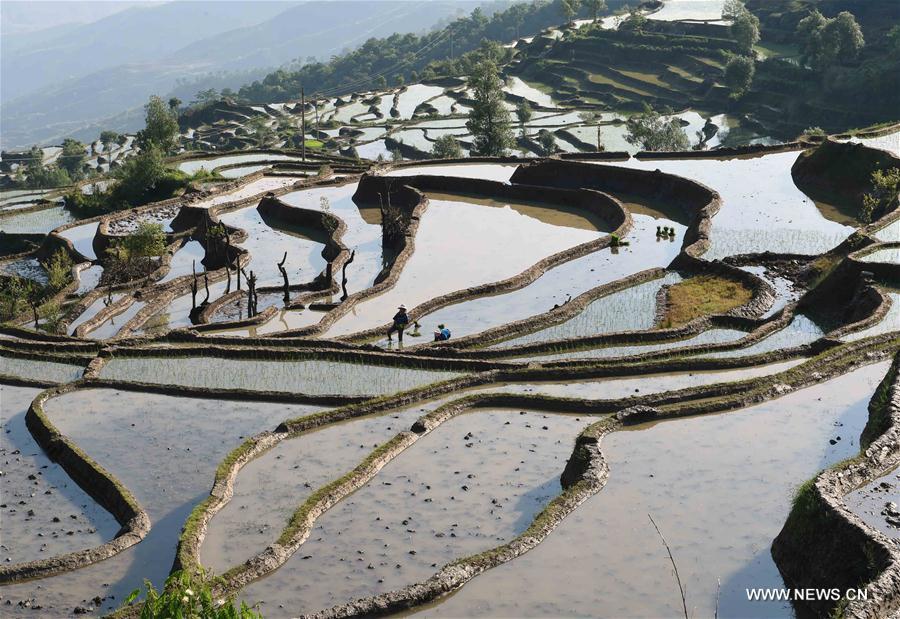 CHINA-YUNNAN-HONGHE-SAMABA TERRACS (CN)