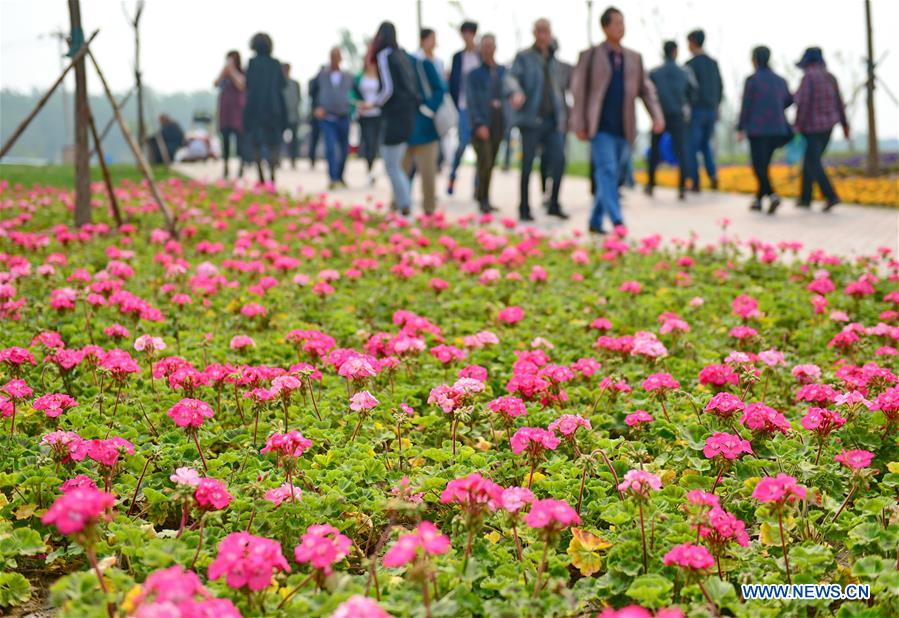 CHINA-HEBEI-TANGSHAN WORLD HORTICULTURAL EXPO-OPEN(CN)