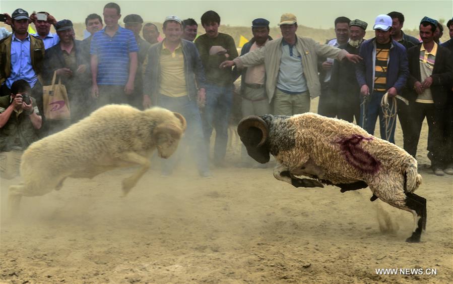 Dawakun Desert tourism scenic spot, which locates on the edge of Taklimakan Desert, has attracted a good many tourists.