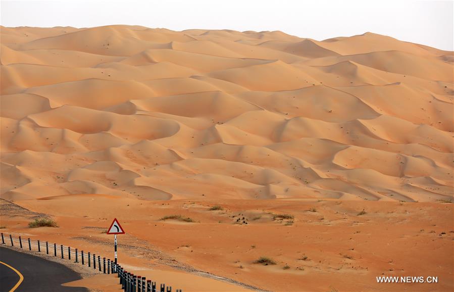 UAE-LIWA DESERT-VIEW