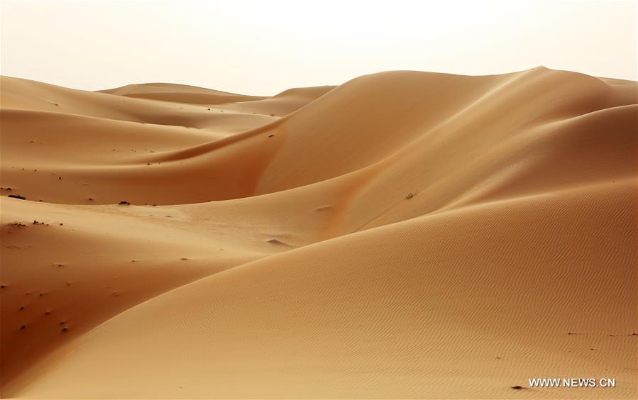 UAE-LIWA DESERT-VIEW