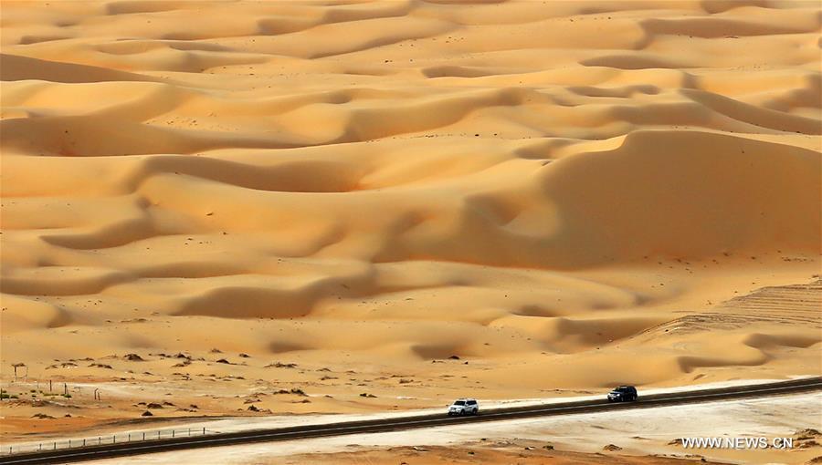 UAE-LIWA DESERT-VIEW