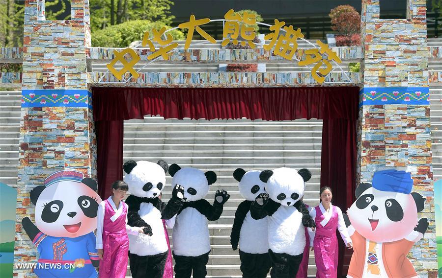 CHINA-SICHUAN-WOLONG-GIANT PANDA-RESEARCH CENTER (CN)