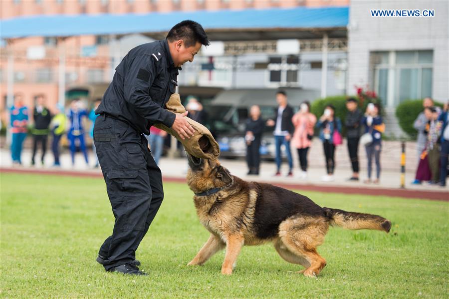 #CHINA-GUIZHOU-POLICE DOG-OPEN DAY (CN)