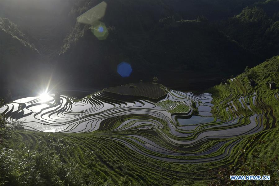 #CHINA-GUIZHOU-CONGJIANG-TERRACES (CN)