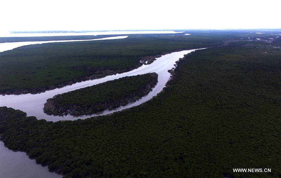 CHINA-HAINAN-MANGROVE-RESERVE (CN)