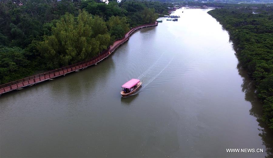 CHINA-HAINAN-MANGROVE-RESERVE (CN)