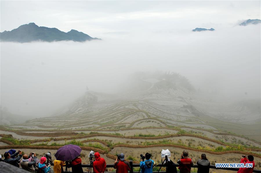 #CHINA-ZHEJIANG-LISHUI-TERRACES(CN)