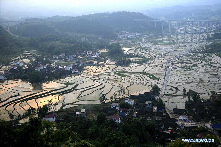 #CHINA-HUNAN-TERRACED FIELDS (CN)