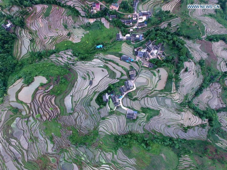 #CHINA-GUIZHOU-YUQING-TERRACED FIELDS (CN)