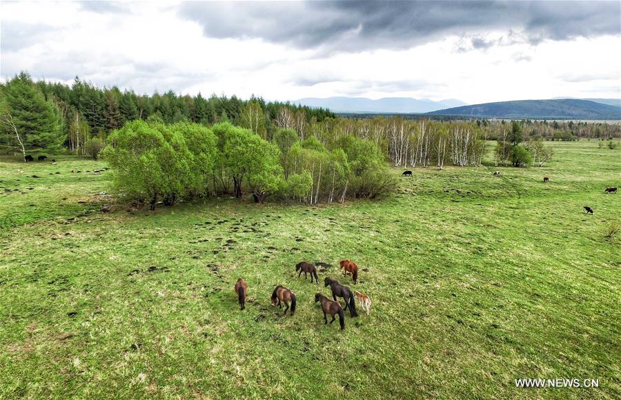 CHINA-INNER MONGOLIA-ARXAN-SCENERY (CN)