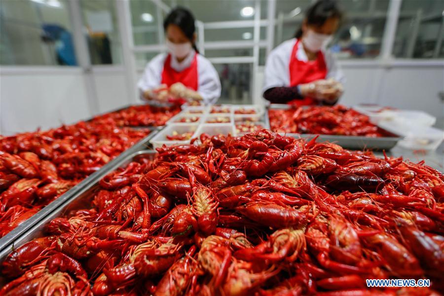 #CHINA-JIANGSU-XUYI-CRAYFISH (CN)