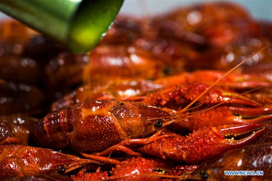 #CHINA-JIANGSU-XUYI-CRAYFISH (CN)