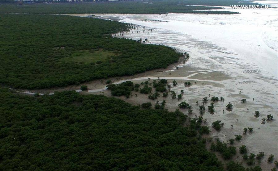 CHINA-GUANGXI-MANGROVE FOREST (CN)