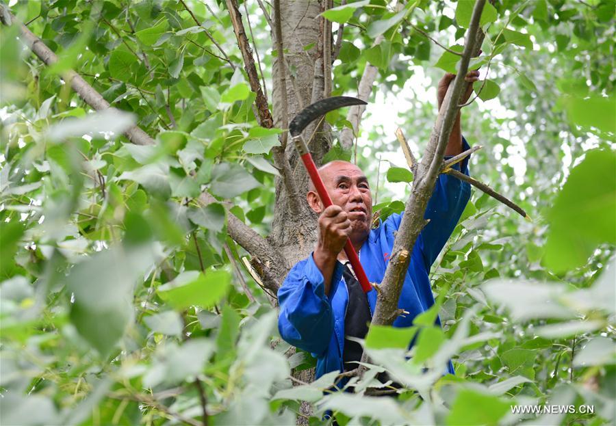 CHINA-HEBEI-BLIND MAN AND ARMLESS MAN-TREE PLANTING(CN)