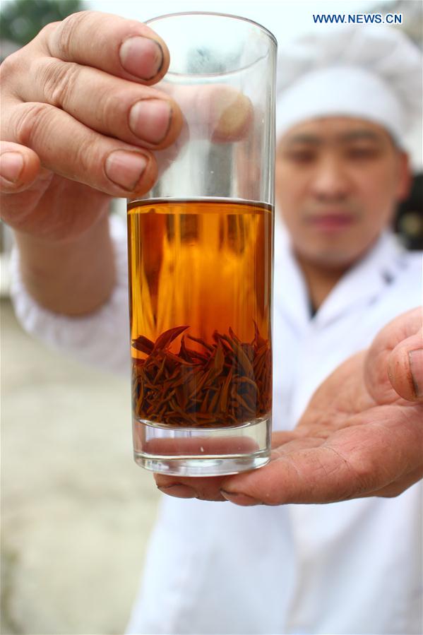 #CHINA-GUIZHOU-FENGGANG-TEA INDUSTRY (CN)