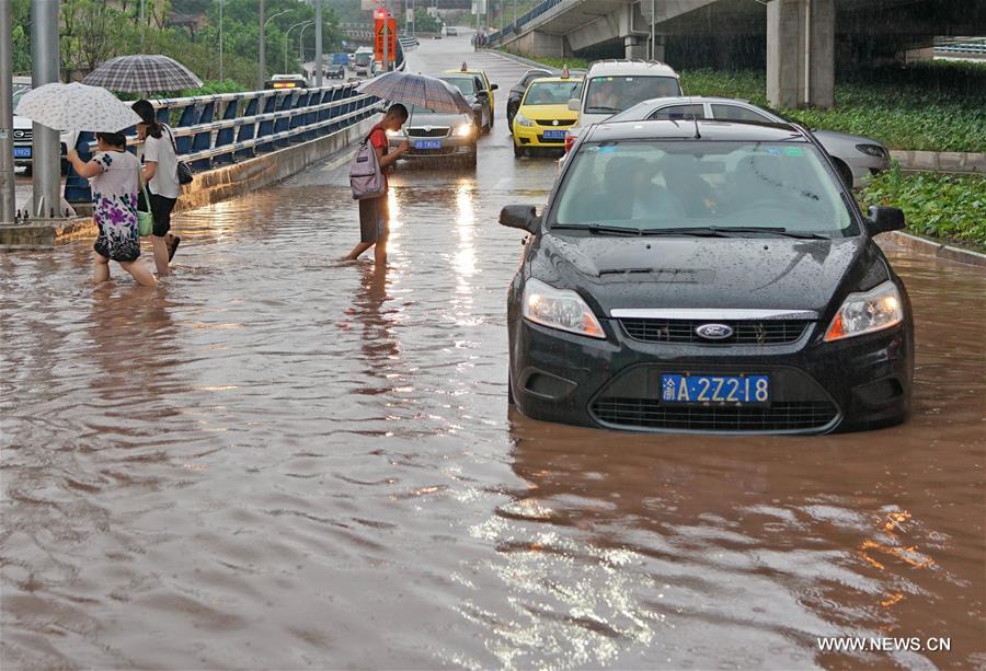 Local meteorological bureau has issued an orange alarm for rainstorm. 