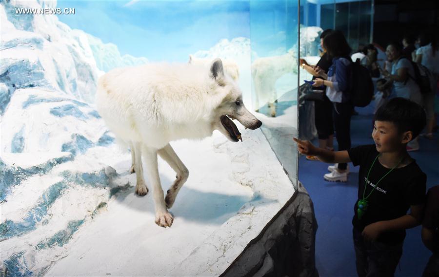 CHINA-HARBIN-POLARLAND-ANIMALS (CN)