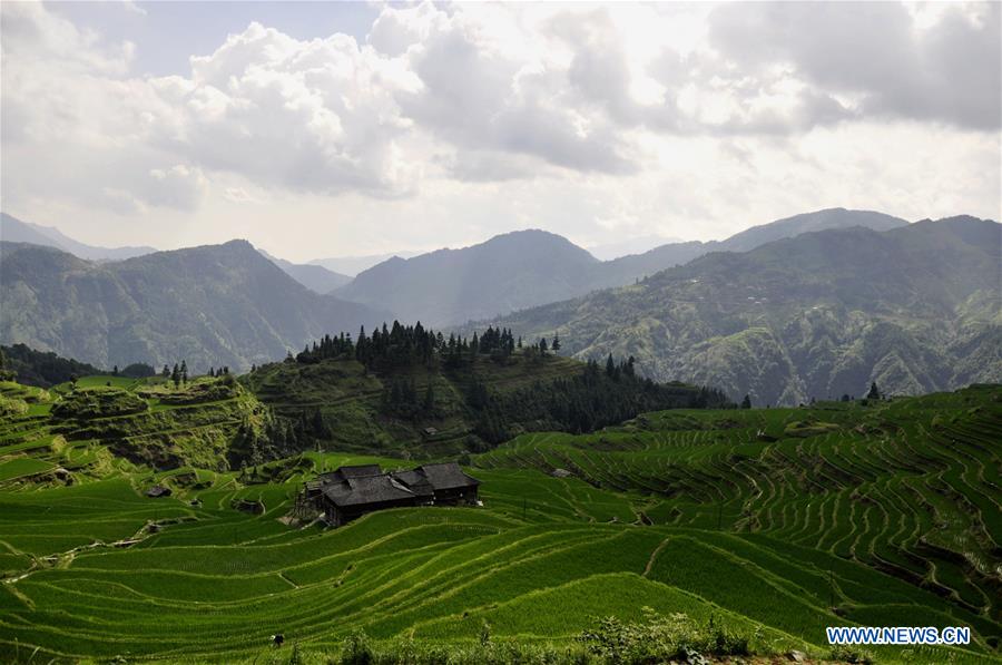 #CHINA-GUIZHOU-CONGJIANG-TERRACED FIELDS (CN) 