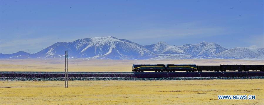 (FOCUS)CHINA-QINGHAI-TIBET RAILWAY-ANNIVERSARY-ENVIRONMENT (CN)