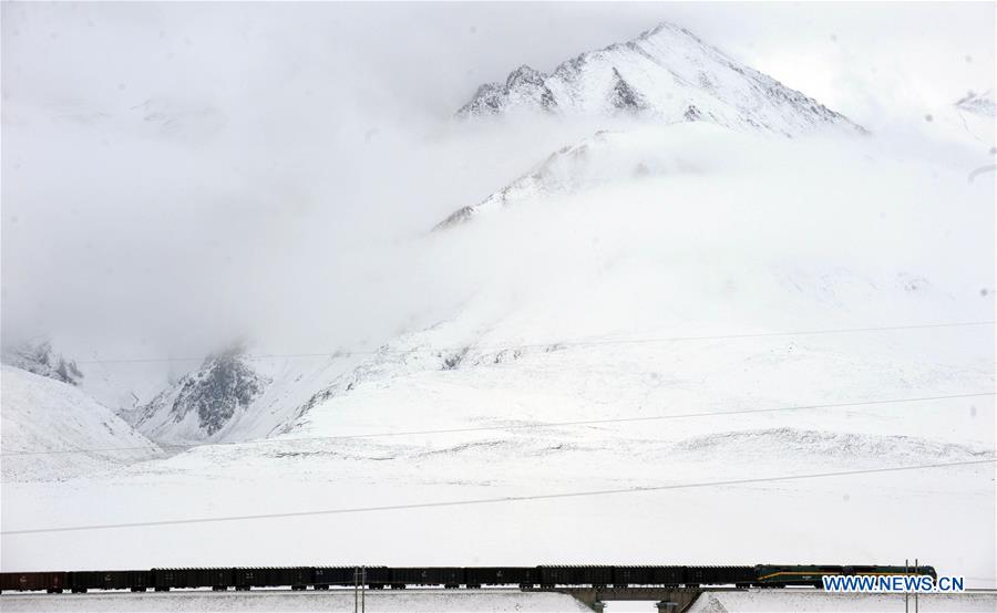 CHINA-QINGHAI-TIBET RAILWAY-ANNIVERSARY-ENVIRONMENT (CN)