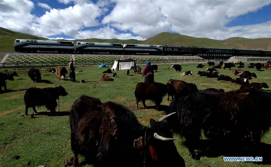 CHINA-QINGHAI-TIBET RAILWAY-ANNIVERSARY-ENVIRONMENT (CN)