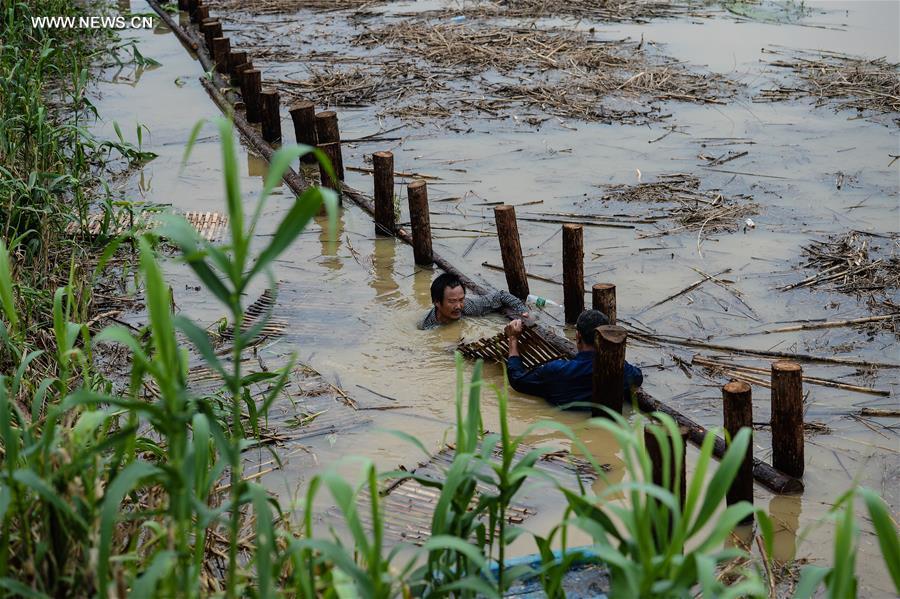 CHINA-JIANGSU-FLOOD (CN)