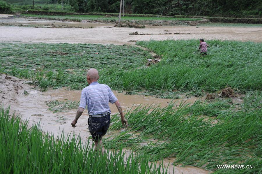 China's meteorological authority renewed its orange alert for heavy rain in the south and southwest of the country on Monday. 