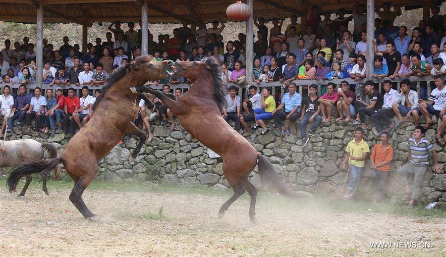 #CHINA-GUANGXI-RONGSHUI-HORSE FIGHTING (CN)