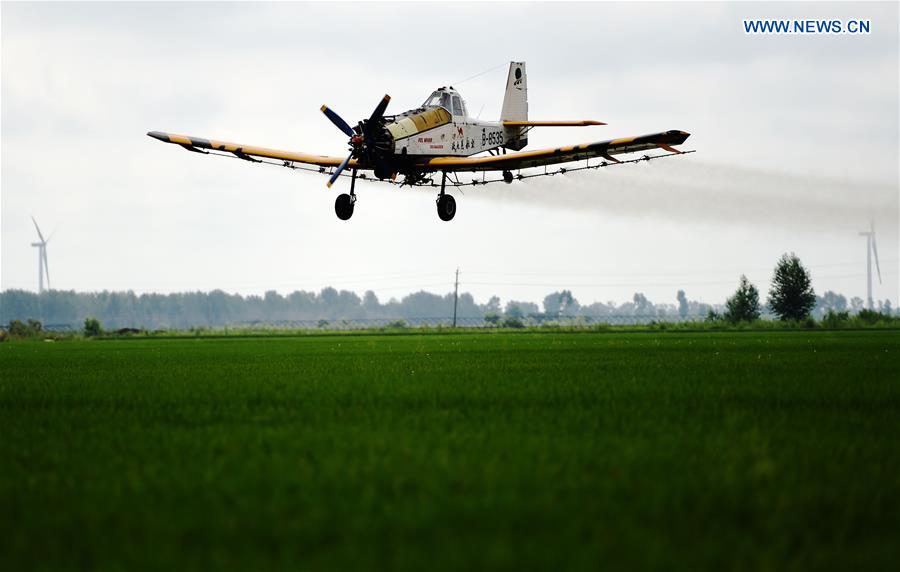 CHINA-HEILONGJIANG-AGRICULTURE-PESTICIDE (CN)