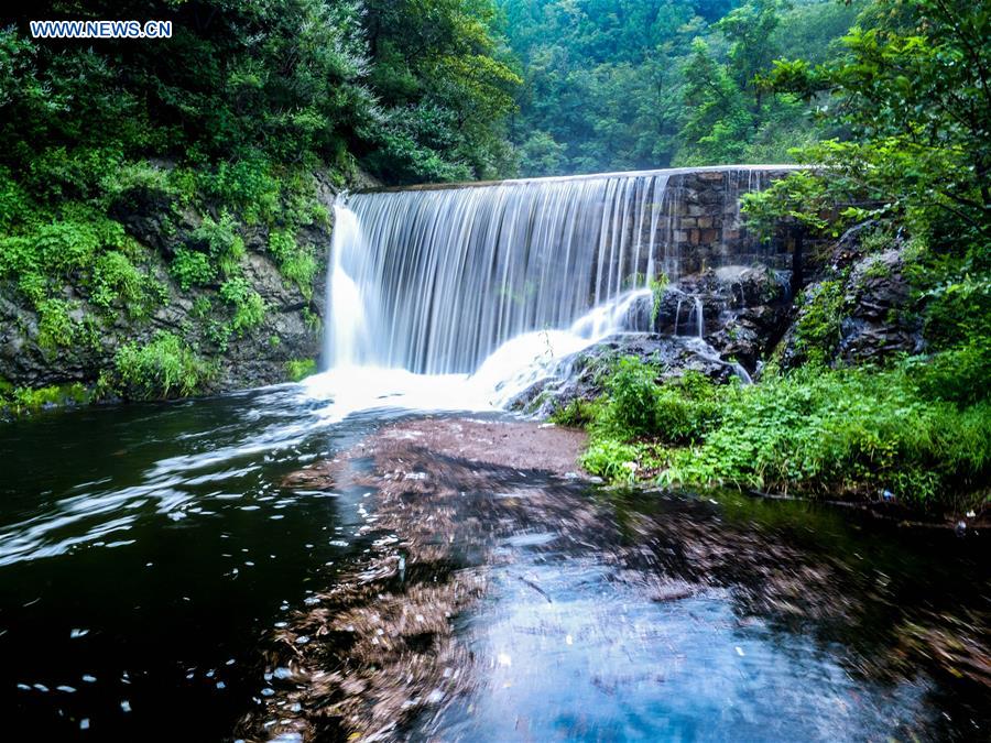 #CHINA-SHANDONG-ZOUPING-WATER ECOLOGICAL PROTECTION (CN)