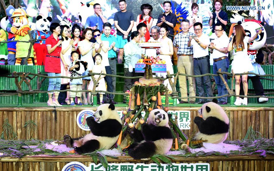 CHINA-GUANGDONG-GIANT PANDA-TRIPLETS-BIRTHDAY (CN)