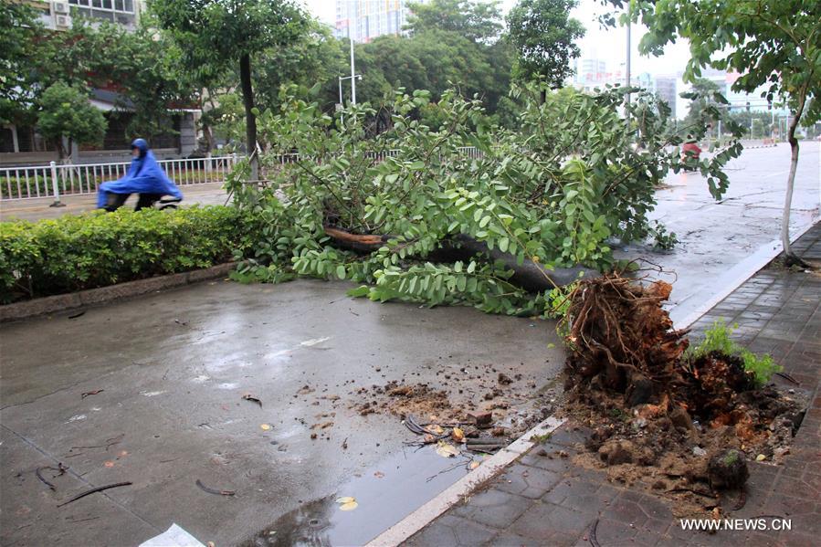 The strong typhoon packing winds up to 151.2 km per hour is moving northwest at 25 km per hour, and is expected to sweep across the cities of Shenzhen, Dongguan, Guangzhou, Foshan and Zhaoqing to Guangdong's neighboring Guangxi Zhuang Autonomous Region