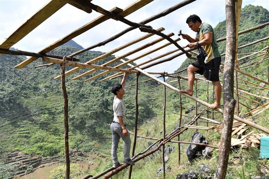 CHINA-GUANGXI-DAHUA-CHICKEN INDUSTRY-POVERTY ALLEVIATION(CN)