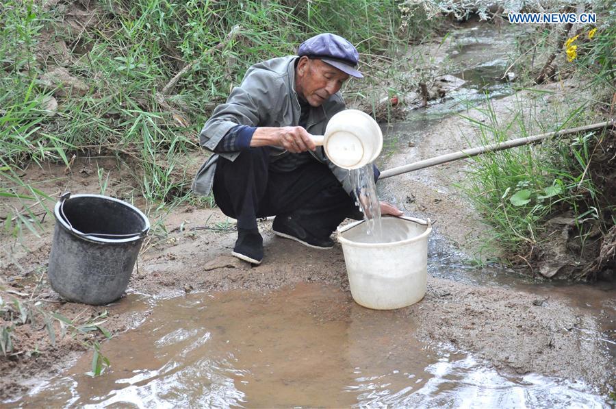 CHINA-GANSU-OLD MEN-TREE PLANTING (CN) 