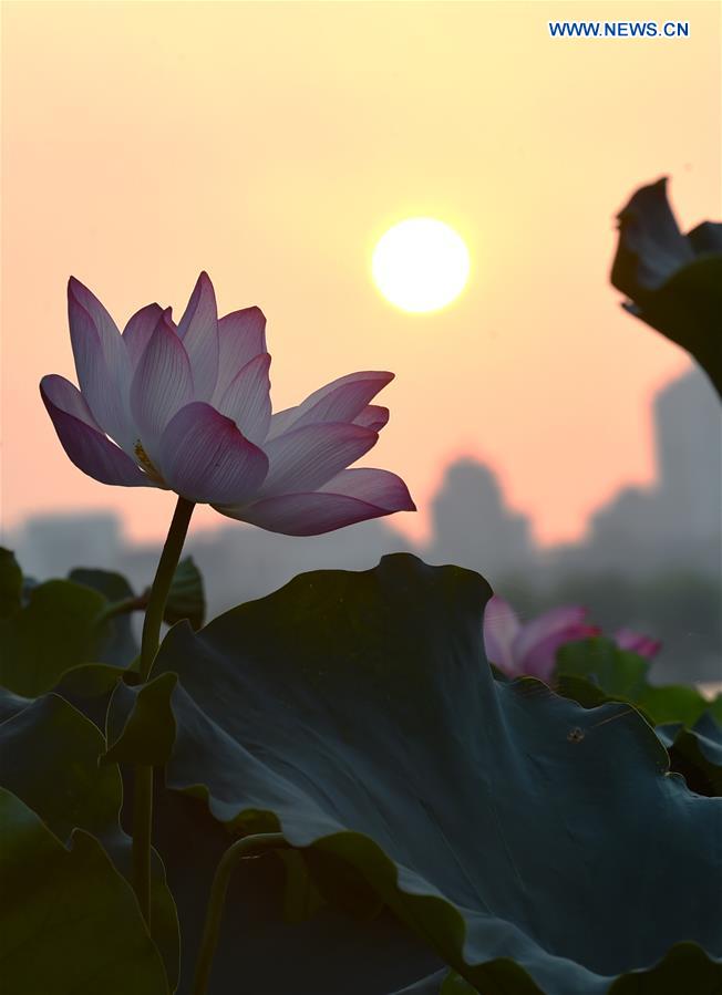 CHINA-HANGZHOU-WEST LAKE-MORNING(CN)