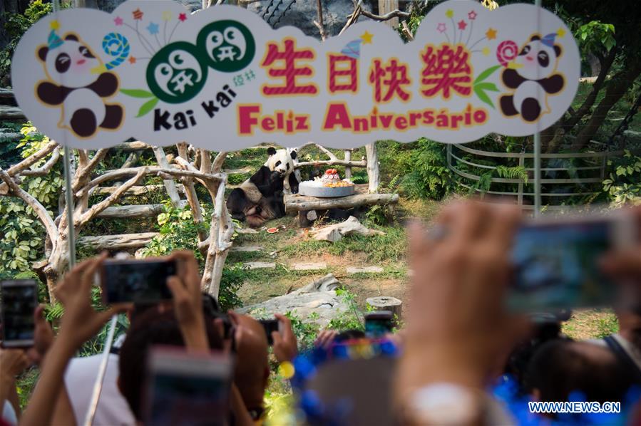 CHINA-MACAO-GIANT PANDA-BIRTHDAY PARTY (CN)