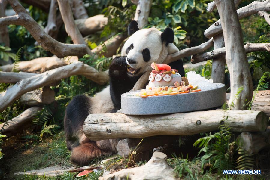 CHINA-MACAO-GIANT PANDA-BIRTHDAY PARTY (CN)