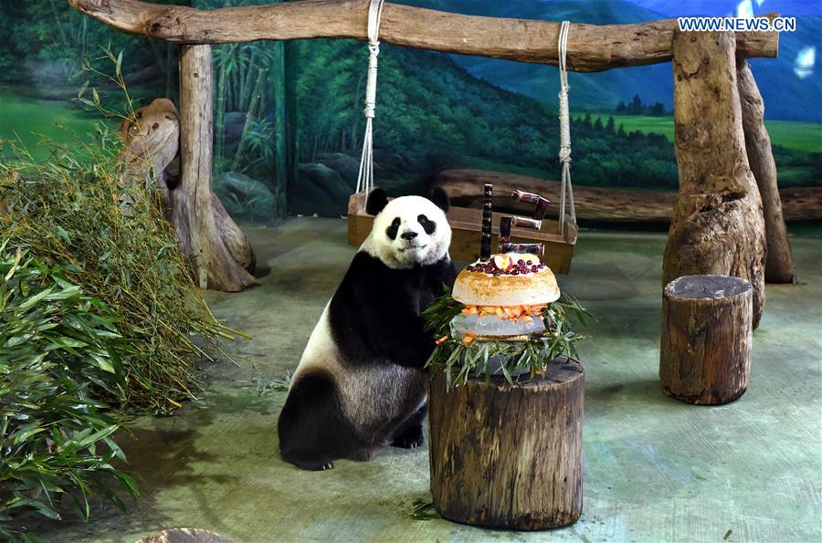 CHINA-TAIPEI-GIANT PANDAS-BIRTHDAY (CN)