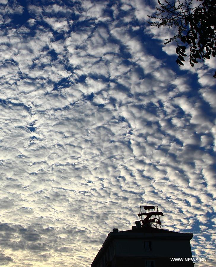 #CHINA-SHANDONG-CLOUDS (CN)