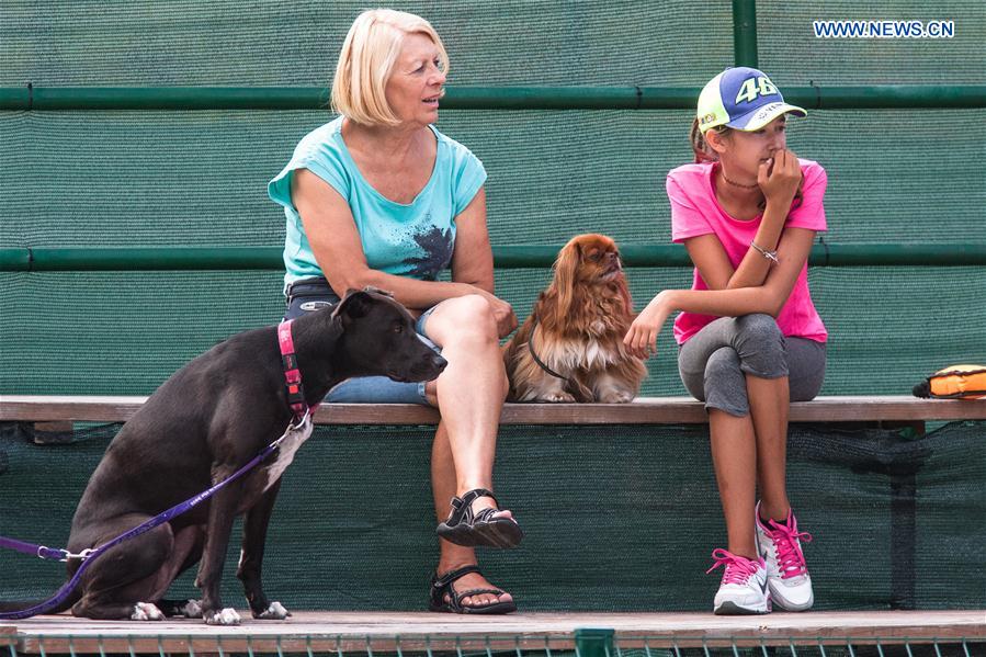 SLOVENNIA-KAMNIK-DOG JUMPING COMPETITION