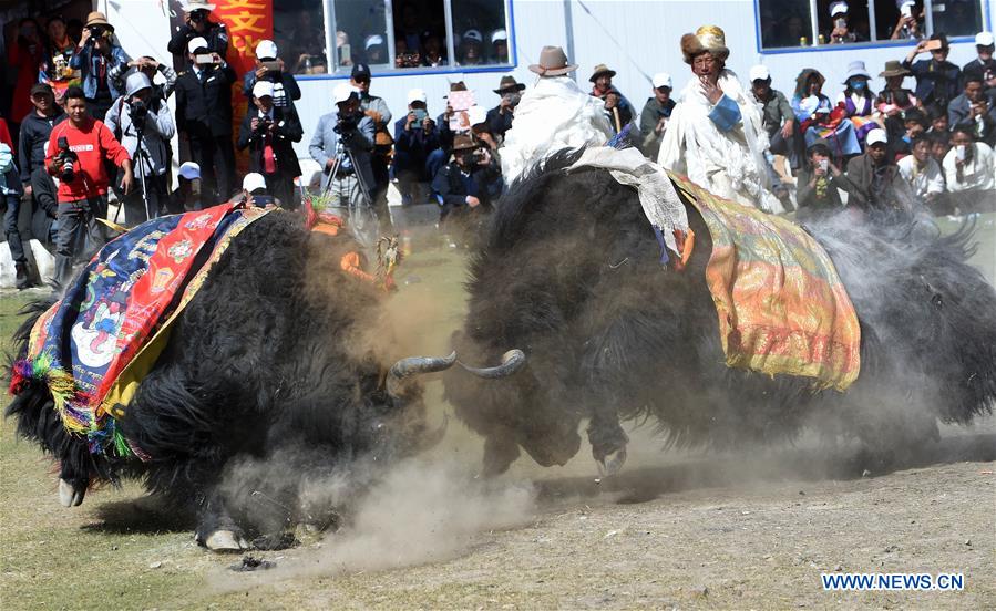 XINHUA PHOTO WEEKLY CHOICES