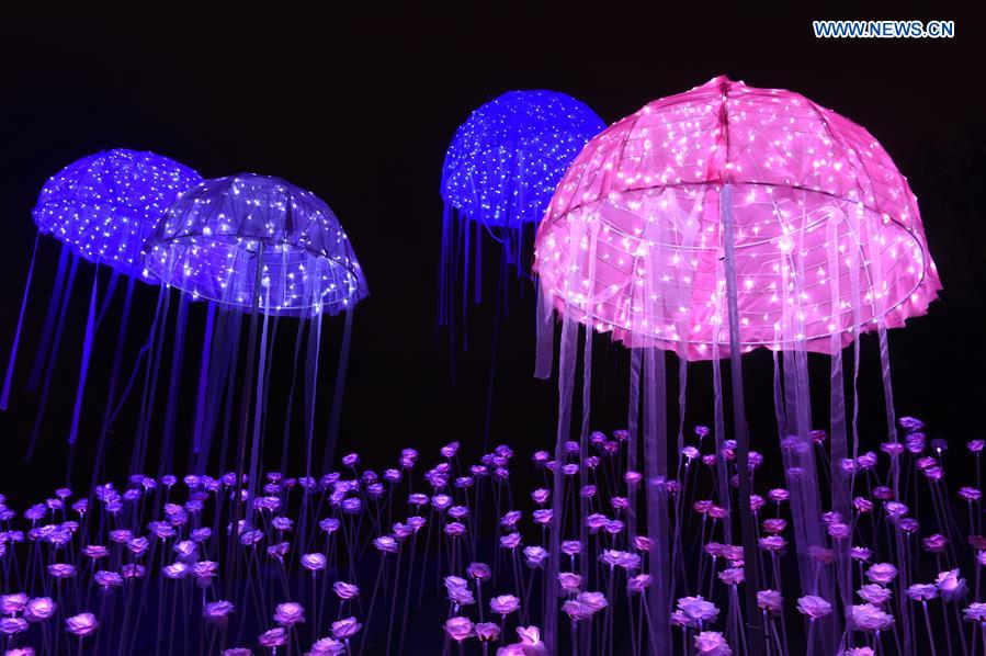 Lighting show of 30,000 LED roses open public, SE China (5) - People's Daily