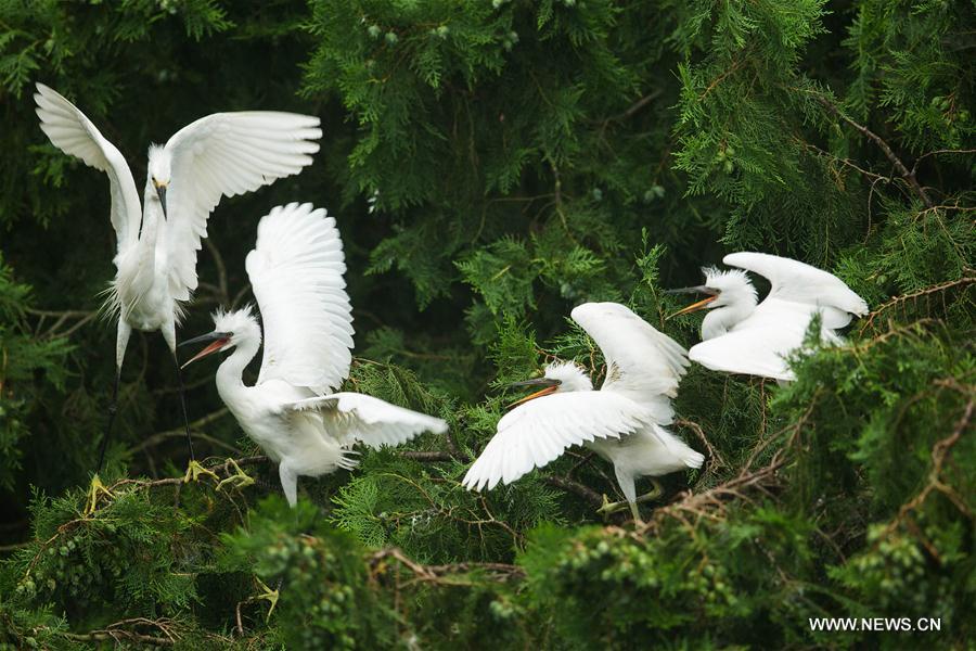 XINHUA PHOTO WEEKLY CHOICES